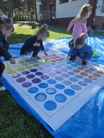 dvsg.jpeg