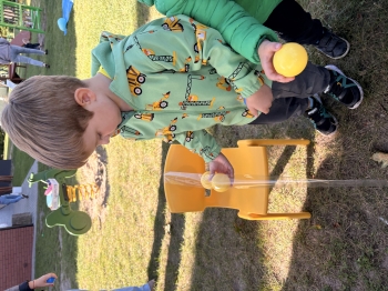 IMG_2149.jpeg