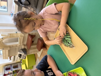 IMG_0027.jpeg