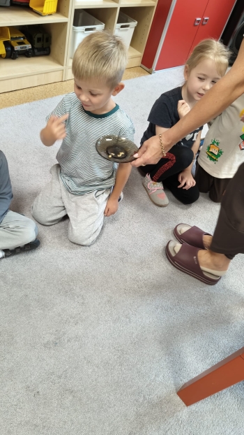 IMG-20260922-WA0418