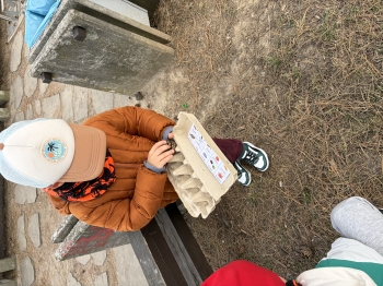IMG_0392.jpeg