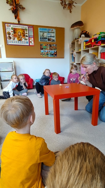 IMG-20261018-WA0172