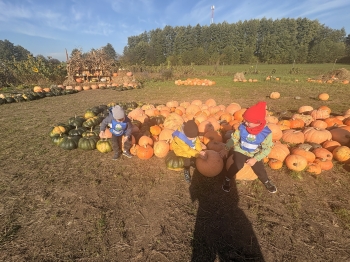 IMG_3739.jpeg