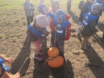 IMG_3729.jpeg