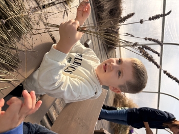 IMG_3706.jpeg
