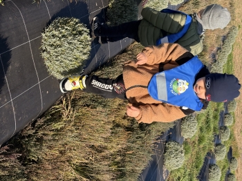 IMG_3687.jpeg