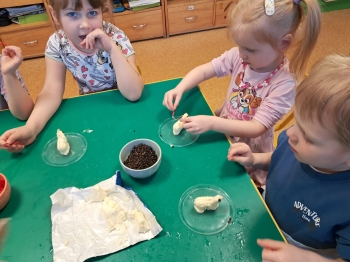 Zdjęcie WhatsApp 2025-04-14 o 18.33.49_18ee6a79