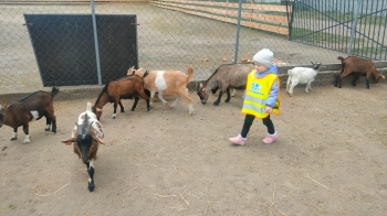 IMG-20250512-WA0027