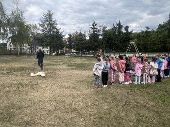 IMG_3958.jpeg