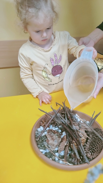 IMG20250522112045