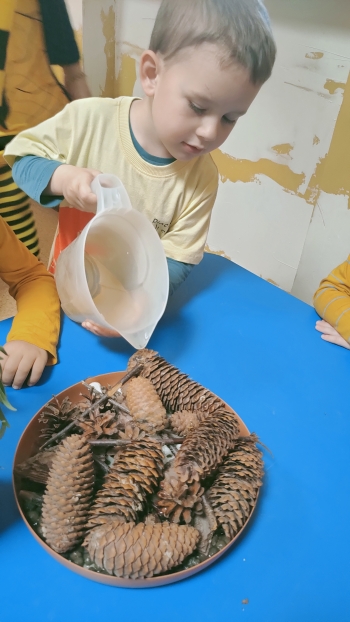 IMG20250522112220