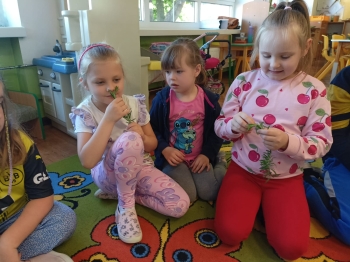 Zdjęcie WhatsApp 2025-05-29 o 21.21.19_4ef4f857