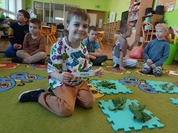 Zdjęcie WhatsApp 2025-05-29 o 21.20.53_0b186f08