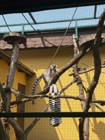 IMG_0091.jpeg