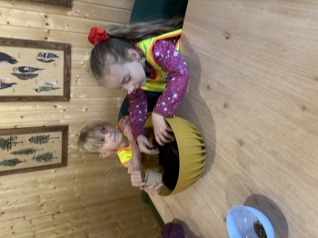 IMG_0266.jpeg