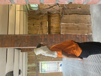 IMG_0290.jpeg