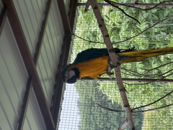 IMG_0309.jpeg