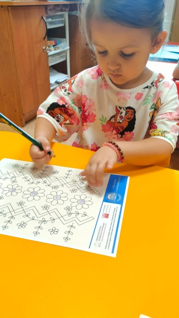 IMG-20250609-WA0005