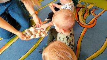 IMG-20250611-WA0011