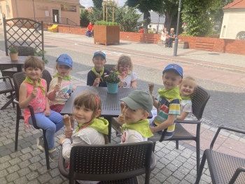image_042BBC28-C02E-4885-8077-BA321CD47E3C_1750579118-min.jpeg