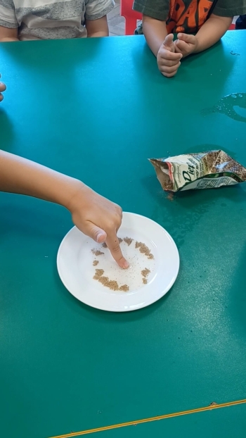 WhatsApp Image 2025-09-14 at 19.20.45.jpeg