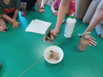 WhatsApp Image 2025-09-14 at 19.18.34 (98).jpeg