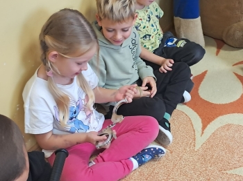 Zdjęcie WhatsApp 2025-09-22 o 14.57.30_d2da3f62