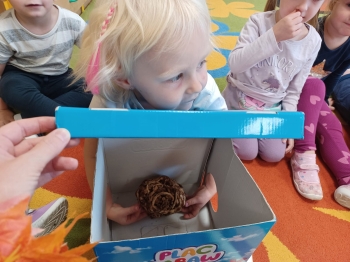 WhatsApp Image 2025-09-24 at 18.09.00 (17).jpeg