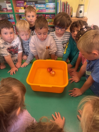 Zdjęcie WhatsApp 2025-09-30 o 10.27.21_e8bc875f