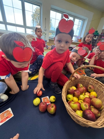 Zdjęcie WhatsApp 2025-09-30 o 11.10.22_0771aa18