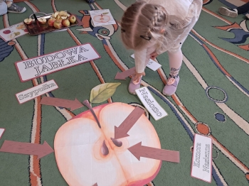 Zdjęcie WhatsApp 2025-09-30 o 14.10.44_782c9f99