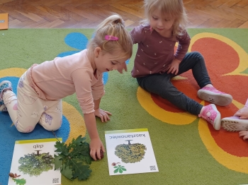 WhatsApp Image 2025-09-30 at 22.38.43 (24).jpeg