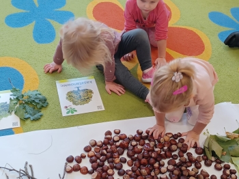 WhatsApp Image 2025-09-30 at 22.38.43 (22).jpeg