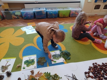 WhatsApp Image 2025-09-30 at 22.38.43 (21).jpeg