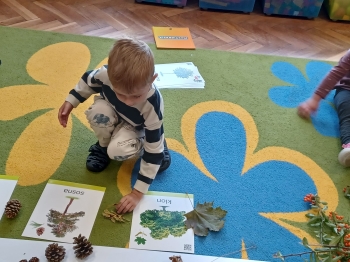 WhatsApp Image 2025-09-30 at 22.38.43 (18).jpeg