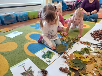 WhatsApp Image 2025-09-30 at 22.38.43 (17).jpeg