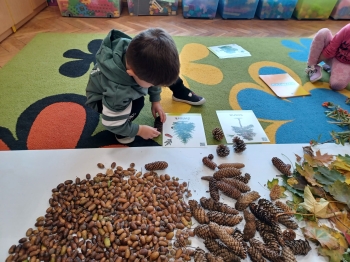 WhatsApp Image 2025-09-30 at 22.38.43 (16).jpeg