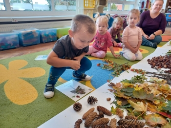 WhatsApp Image 2025-09-30 at 22.38.43 (15).jpeg