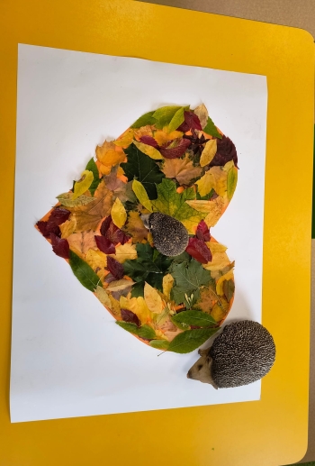 Zdjęcie WhatsApp 2025-10-02 o 16.48.34_9846f97b