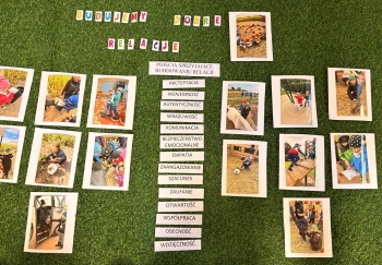 Zdjęcie WhatsApp 2025-10-03 o 11.25.33_2a2572ee