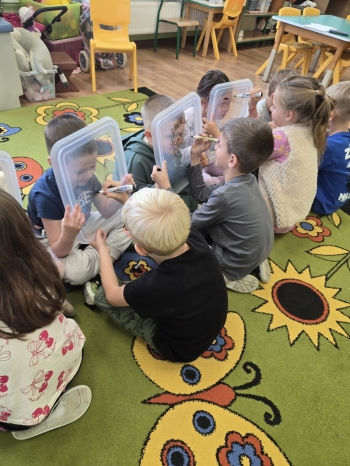 Zdjęcie WhatsApp 2025-10-03 o 14.39.01_79cec974