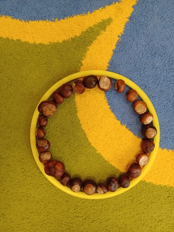 WhatsApp Image 2025-10-15 at 17.44.00.jpeg