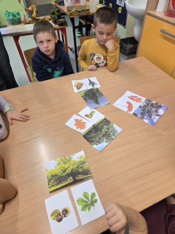 Zdjęcie WhatsApp 2025-10-19 o 15.40.50_955d56fc