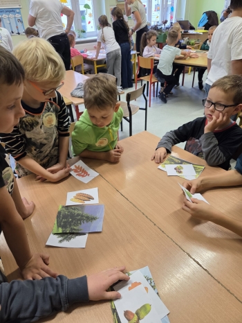 Zdjęcie WhatsApp 2025-10-19 o 15.40.50_cdde41fc