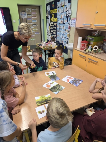 Zdjęcie WhatsApp 2025-10-19 o 15.40.51_d5d72bf2