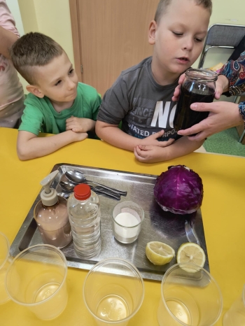 9d11b48a-2c8d-4565-912f-46aa509b8abb