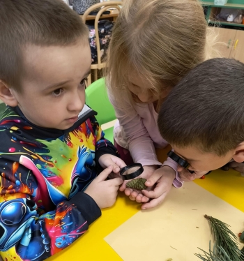 8d8772b1-fe78-446f-aa6f-71c216ab2e07