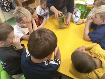 2cb1ba3d-9739-45be-b930-75de4e5d43e6