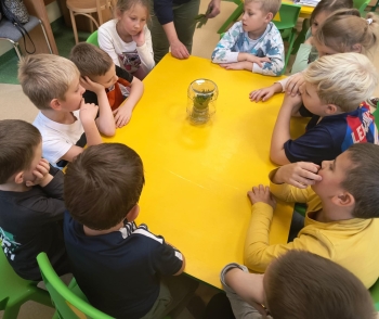 9b80114a-9b11-4d75-9617-dc93a2200ffe