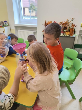 02ba5ab7-f77c-473c-a122-9c27af935229